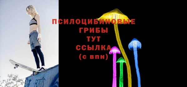 меф Арсеньев