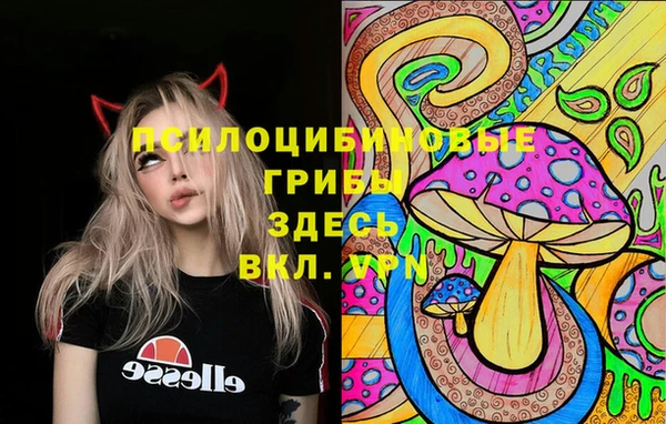 герыч Аркадак