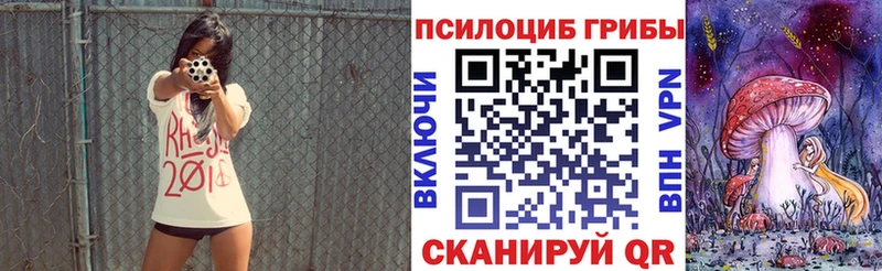 где купить   Реж  Галлюциногенные грибы Cubensis 